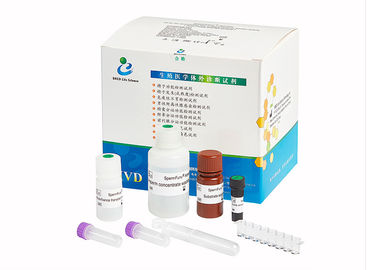 Acrosin Kit Male Infertility Test, fertilità Kit For Men di Spermcheck